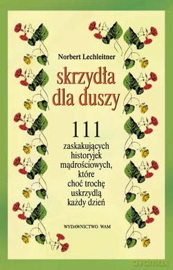 Skrzydła Dla Duszy. 111 zaskakujących historyjek mądrościowych, które choć trochę uskrzydlą każdy dzień [KSIĄŻKA]