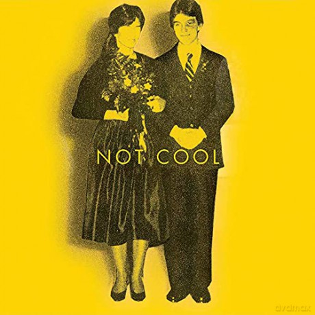 Tim Easton: Not Cool [CD]