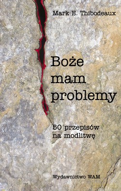 Boże, Mam Problemy. 50 przepisów na modlitwę [KSIĄŻKA]