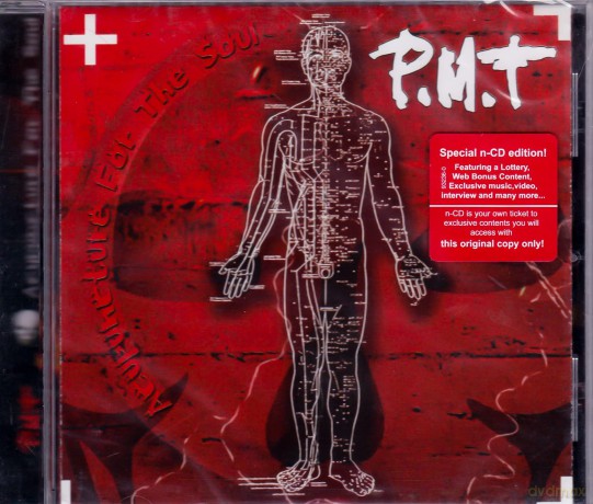 Pmt: Acupuncture for the Soul [CD]