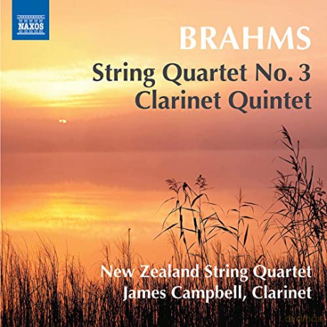 James Campbell: Streichquartett 3/Klarinettenquintet [CD]
