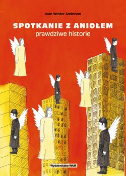Spotkanie Z Aniołem. Prawdziwe historie [KSIĄŻKA]