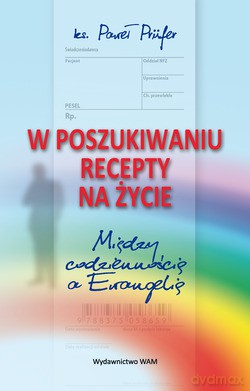 W Poszukiwaniu Recepty Na Życie. Między codziennością a Ewangelią [KSIĄŻKA]