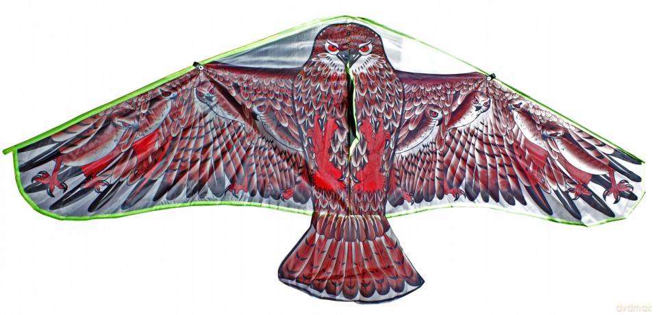 Latawiec Ptak Jastrząb Pisarek Sp-454-00