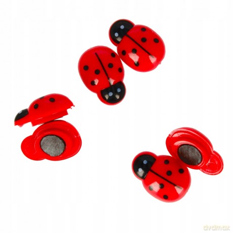 Magnesy Kształtne Biedronka Starpak 438886 [BIURO]