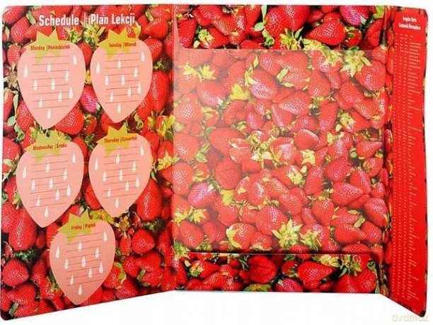 Teczka z Gumką Pap A4 Owoce Fol 10/100 Starpak 447891