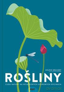 Rośliny. Cuda natury na wyjątkowych ażurowych rycinach - Juliette Einhorn, Helene Druvert [KSIĄŻKA]