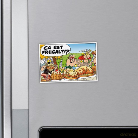 ASTERIX - Magnes - FRUGAL