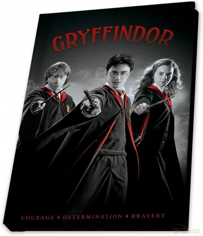 HARRY POTTER - Pck Kubek 320ml + Keychain + Notebook Harry Ron Hermione