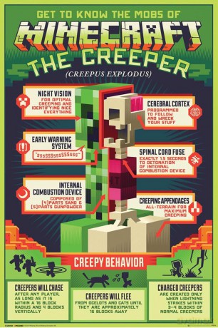 MINECRAFT - Plakat Creepy Behaviour (91.5x61)