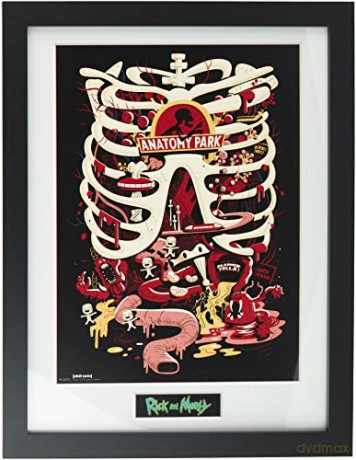 RICK AND MORTY - Plakat w ramie Anatomy Park (30x40)