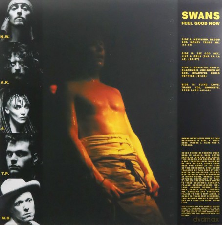 Swans: Feel Good Now [2xWinyl]