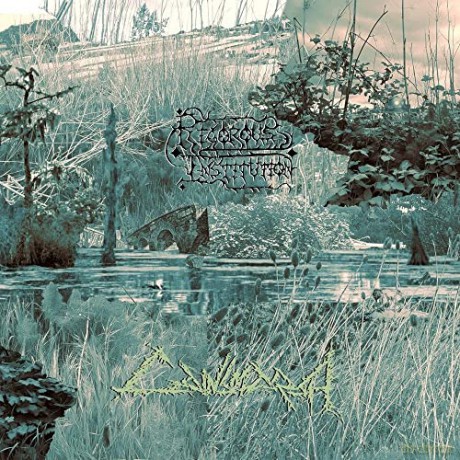 Rigorous Institution: Cainsmarsh [CD]