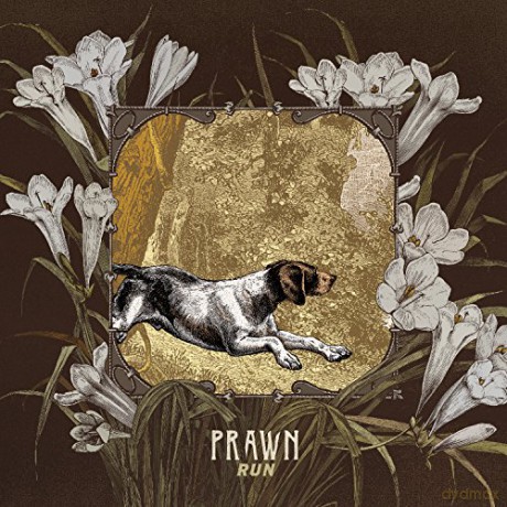 Prawn: Run [CD]