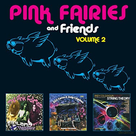 Pink Fairies: The Pink Fairies And Friends Vol. 2 [3CD]