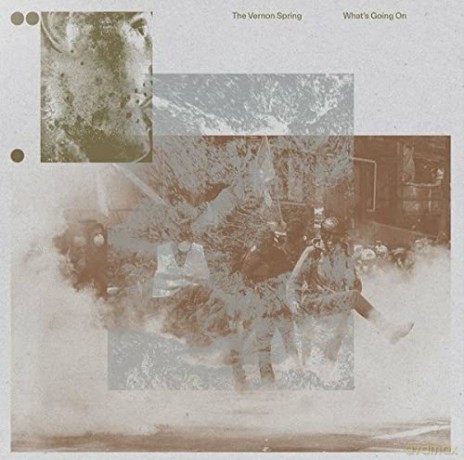 Vernon Spring: Whats Going On (Clear) [Winyl]
