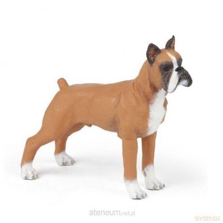 Boxer [FIGURKA]