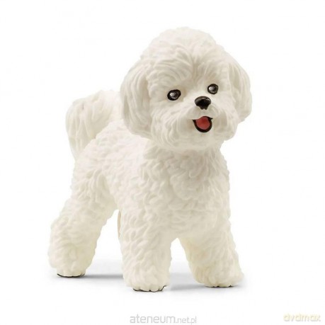 Pies Bichon Frise [FIGURKA]