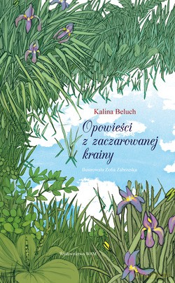 Opowieści z zaczarowanej krainy - Kalina Beluch [KSIĄŻKA]
