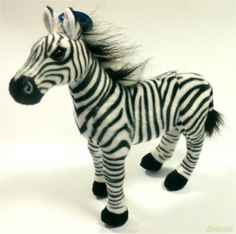 Zebra 30 cm