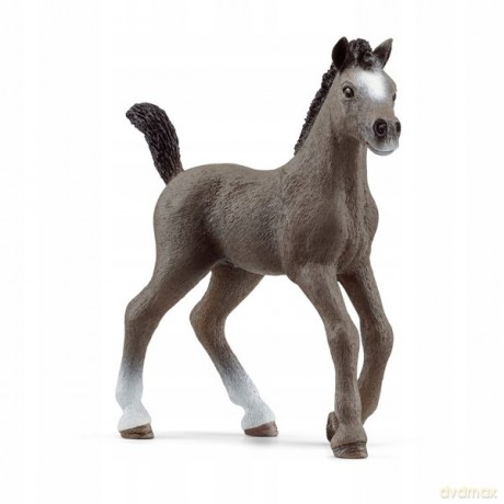 Źrebak rasy cheval de selle francais [FIGURKA]