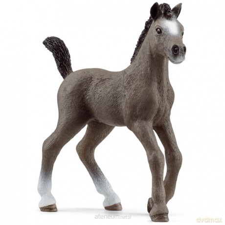 Źrebak rasy cheval de selle francais [FIGURKA]