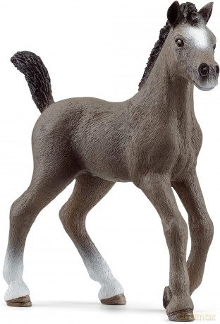 Źrebak rasy cheval de selle francais [FIGURKA]