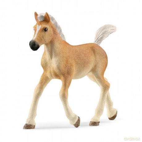Źrebak rasy haflinger [FIGURKA]
