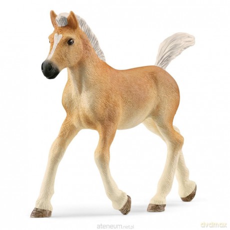 Źrebak rasy haflinger [FIGURKA]