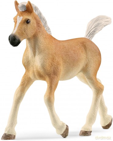 Źrebak rasy haflinger [FIGURKA]