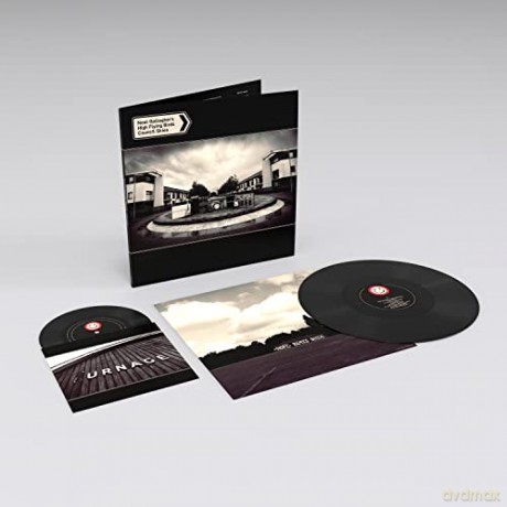 Noel High Flying Birds Gallagher's: Council Skies [Winyl]