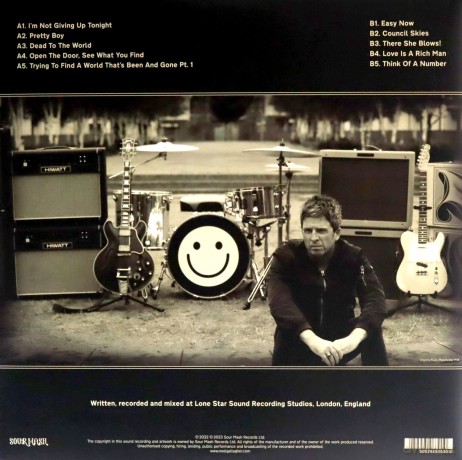 Noel High Flying Birds Gallagher's: Council Skies [Winyl]