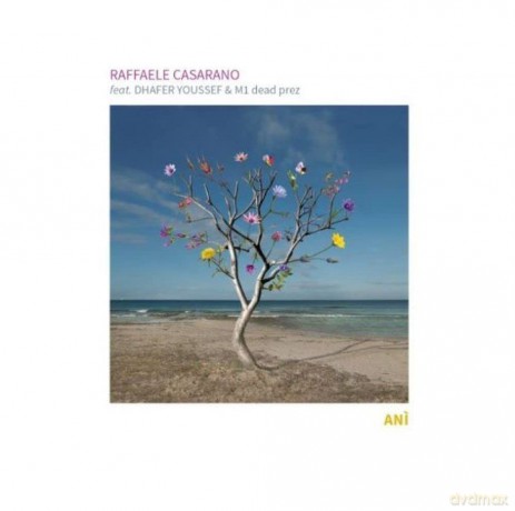 Raffaele Casarano: Ani' [CD]