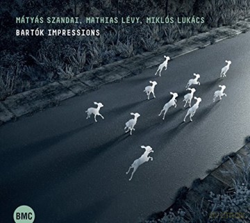Madcon: Bartok Impressions [CD]