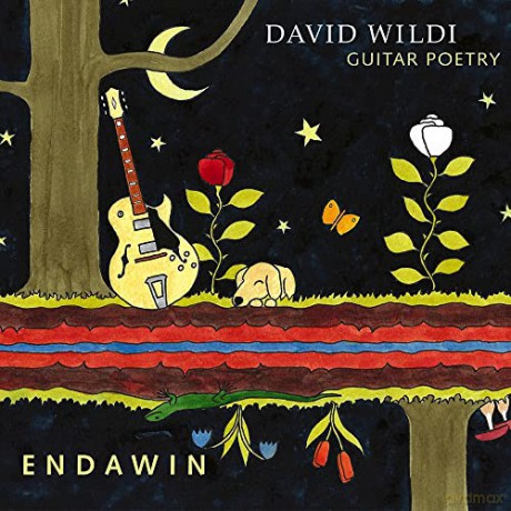 David Wildi: Endawin [CD]
