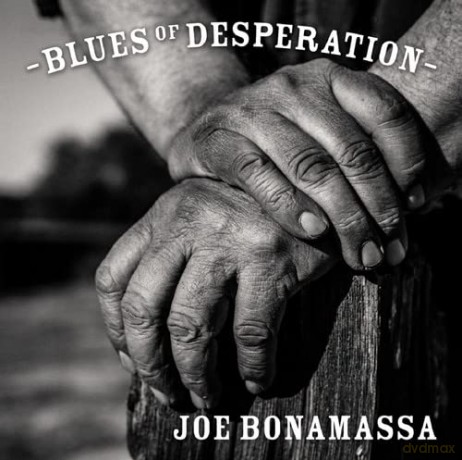 Blues Of Desperation: Joe Bonamassa [CD]