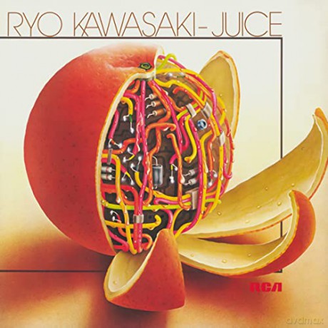 Ryo Kawasaki: Juice [CD]