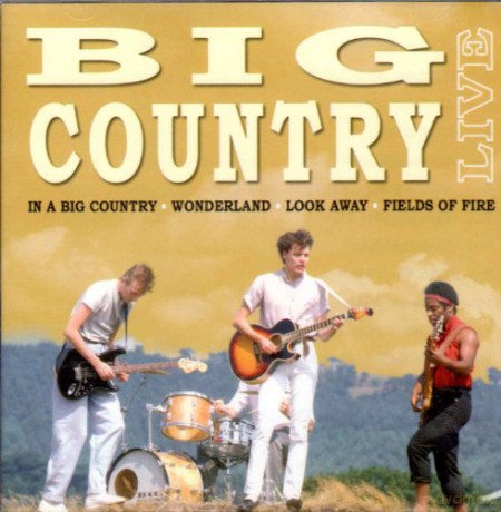Big Country: Live [CD]