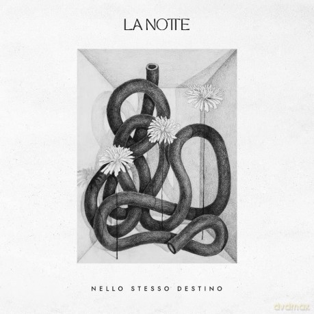 La Notte: Nello Stesso Destino [CD]