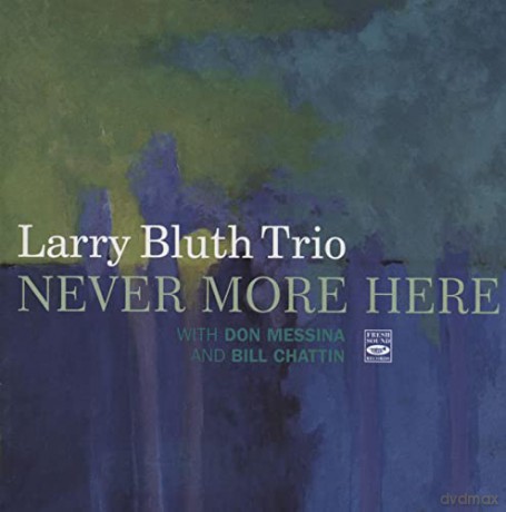 Larry Bluth Trio: Never More Here [CD]