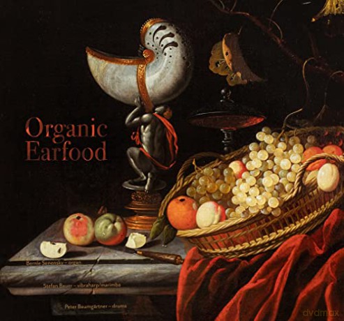 Organic Earfood: Organic Earfood [CD]