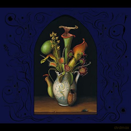 John Zorn: Perchance To A Dream... [CD]