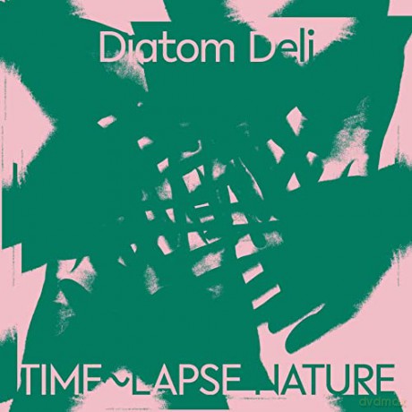 Diatom Deli: Time Lapse Nature [CD]