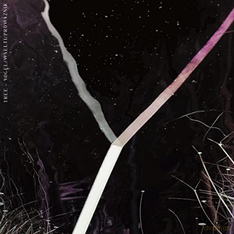 Tree: Y [CD]