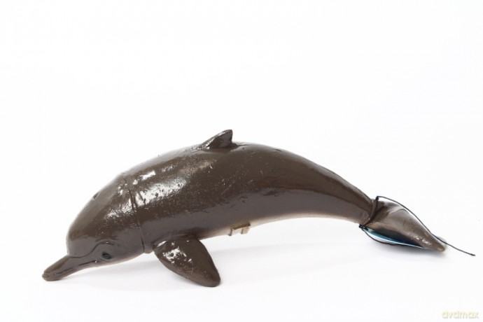 Delfin 21 cm 21570 15700