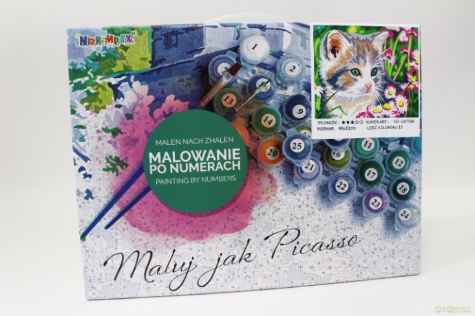 Malowanie po nr 30X40 Kot na łące 1007588