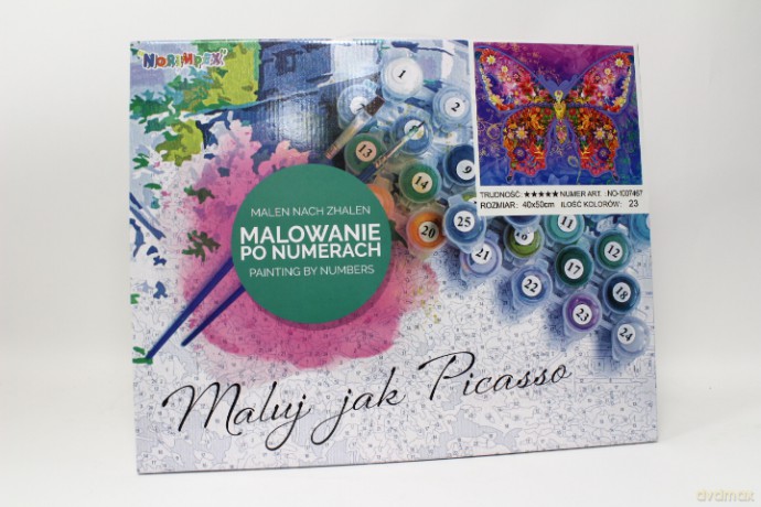 Malowanie po numerach Motyl 1007467