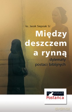 Między Deszczem A Rynną. Dylematy postaci biblijnych [KSIĄŻKA]
