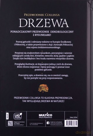 Drzewa. Przewodnik Collinsa - Owen Johnson, David More [KSIĄŻKA]