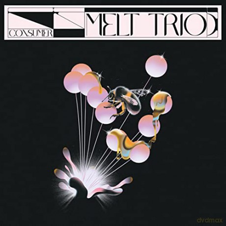 Melt Trio: Consumer [CD]